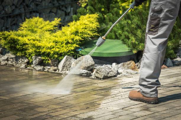 Best Sidewalk and Walkway Cleaning  in Hernando, FL